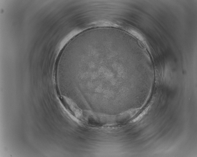 X0000069791141200605221108