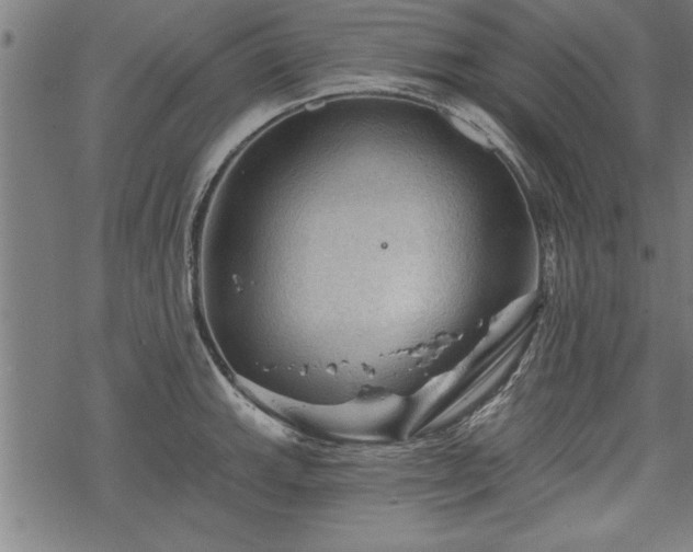 X0000069791143200605221108