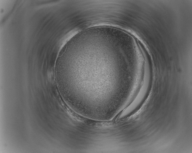 X0000069791145200605221108