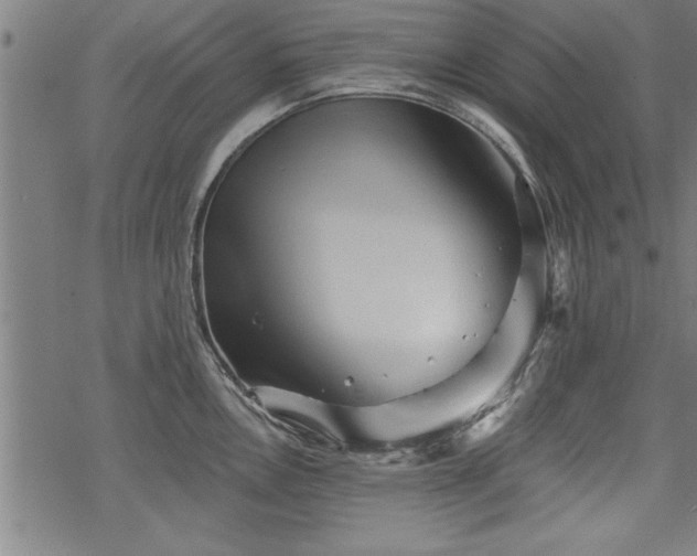 X0000069791146200605221108