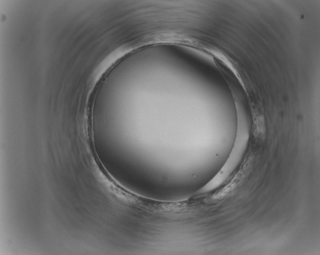 X0000069791147200605221108