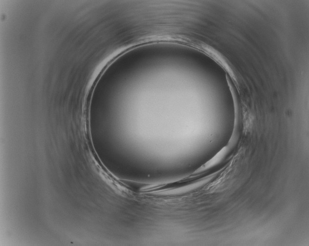 X0000069791148200605221108