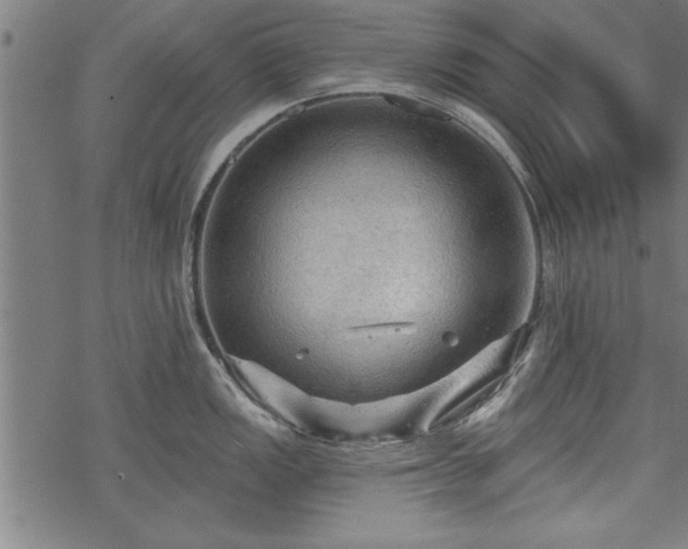 X0000069791149200605221108