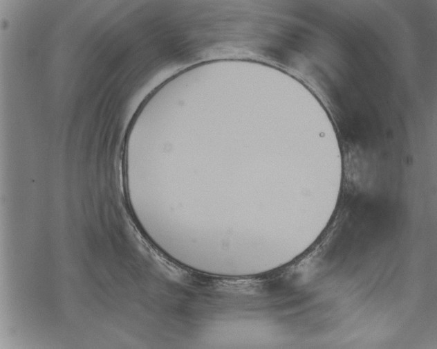 X0000069791150200605221108