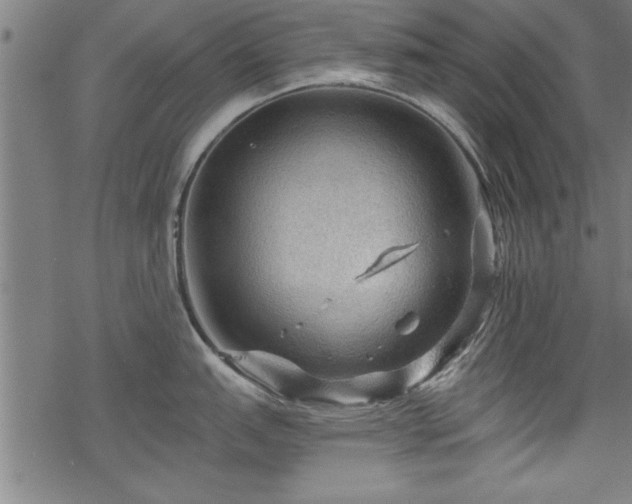 X0000069791151200605221108