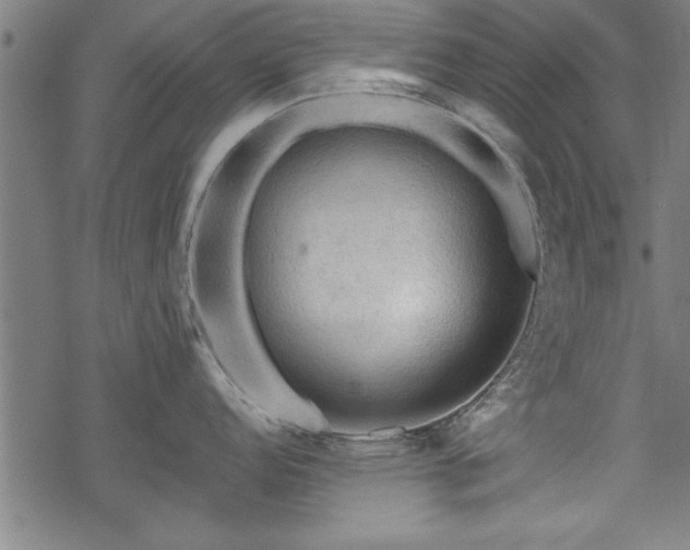 X0000069791152200605221108