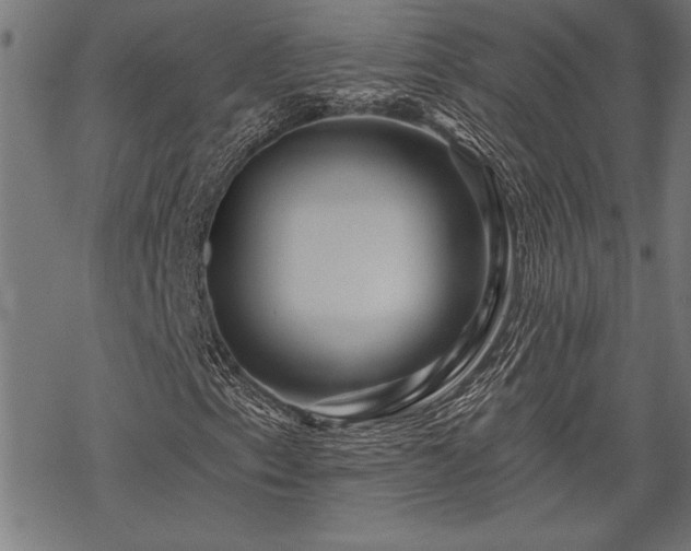 X0000069791153200605221107