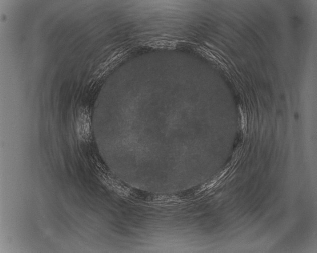 X0000069791154200605221107