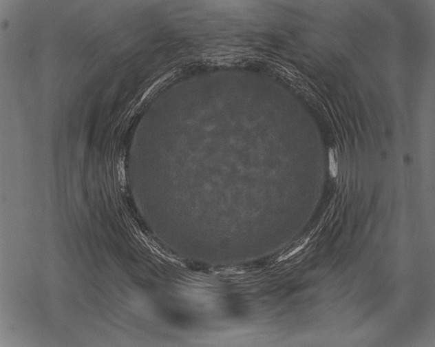 X0000069791155200605221107