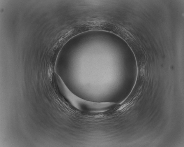 X0000069791156200605221107