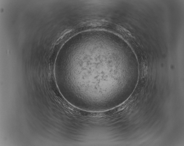 X0000069791158200605221107