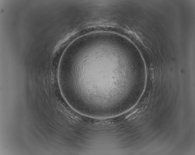 X0000069791159200605221107