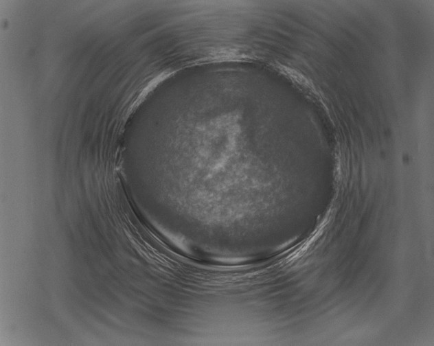 X0000069791161200605221107