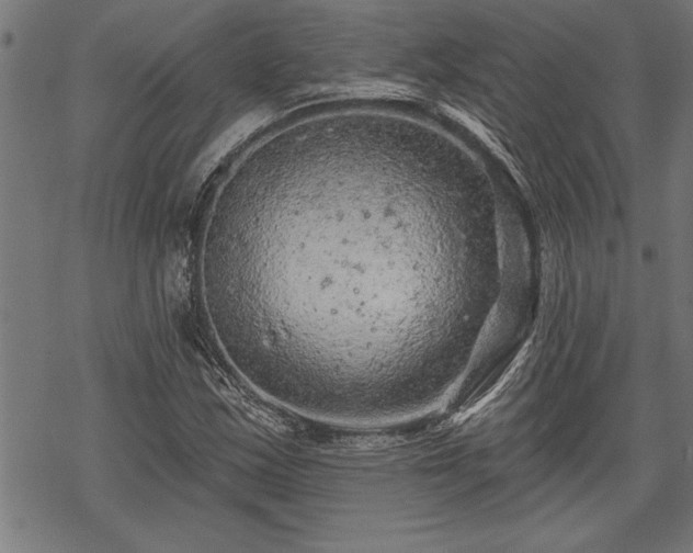 X0000069791163200605221107