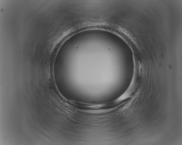 X0000069791165200605221107