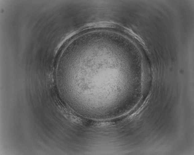 X0000069791166200605221107