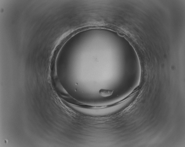 X0000069791168200605221107