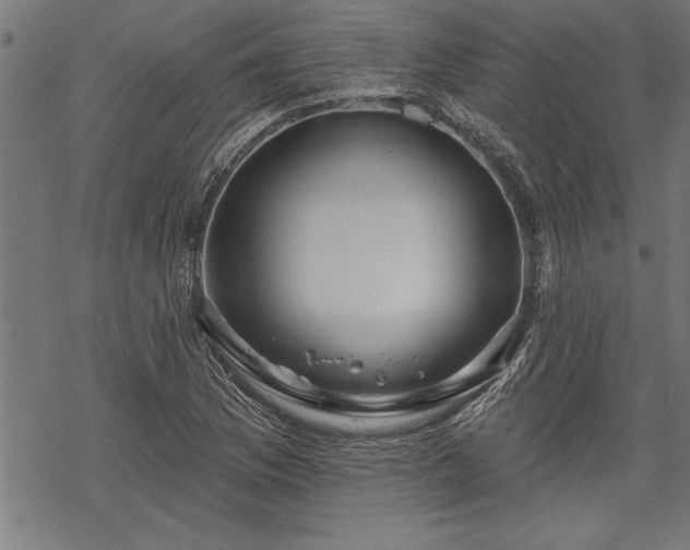 X0000069791169200605221107