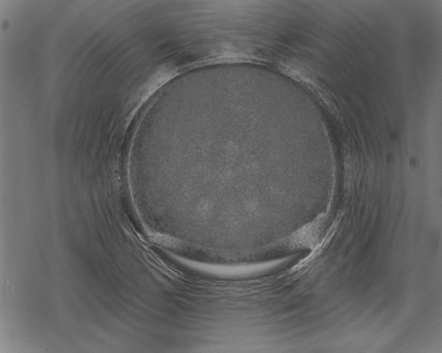 X0000069791170200605221107