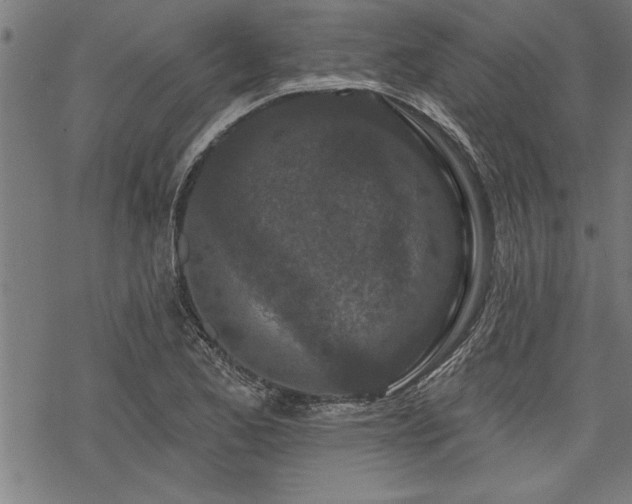 X0000069791173200605221107