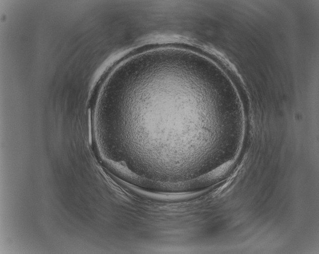 X0000069791175200605221107