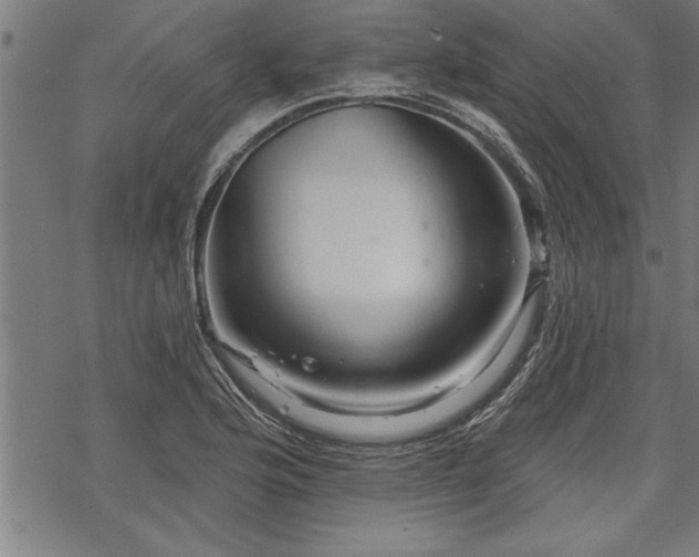 X0000069791176200605221107