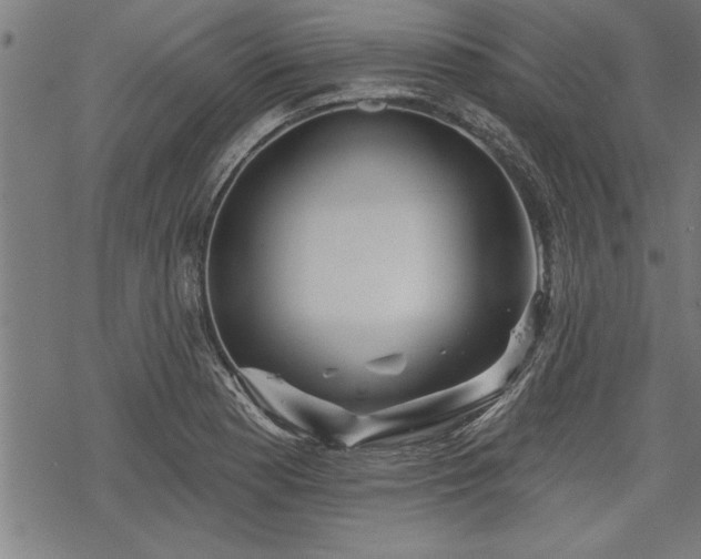 X0000069791177200605221107