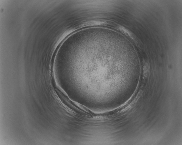 X0000069791178200605221107