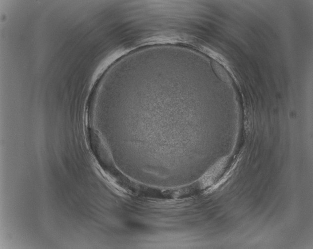 X0000069791179200605221107