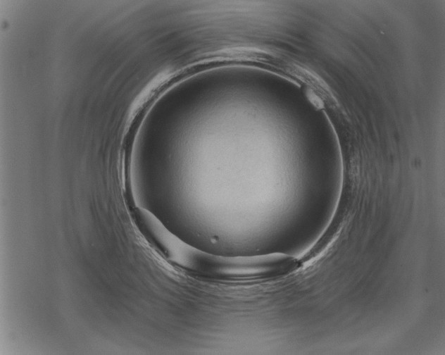 X0000069791180200605221107