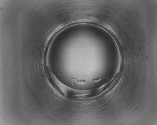 X0000069791181200605221107