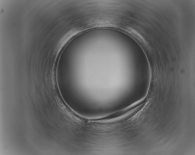 X0000069791182200605221107