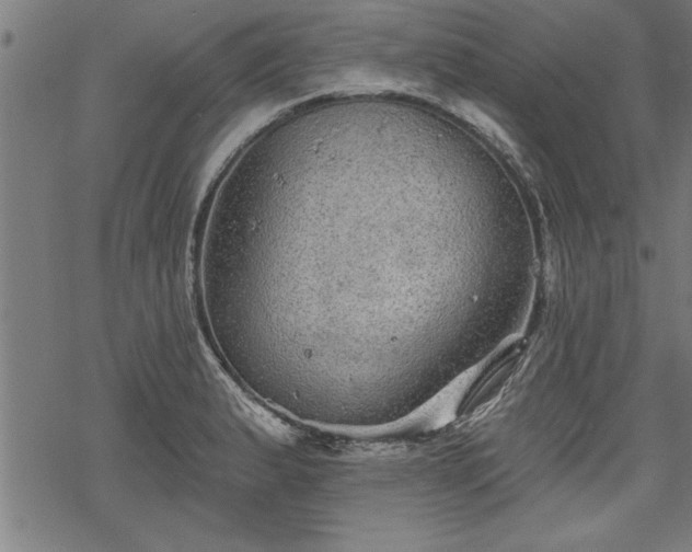 X0000069791183200605221107