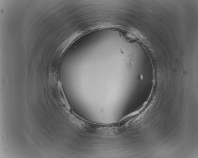 X0000069791185200605221107