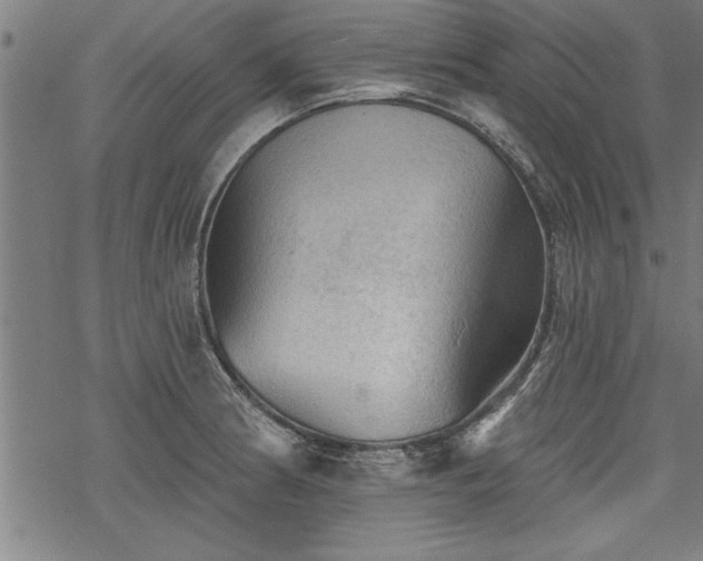 X0000069791186200605221107