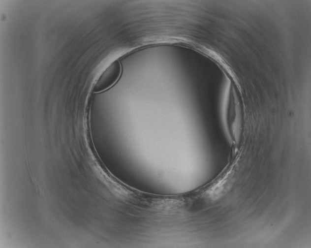 X0000069791187200605221107