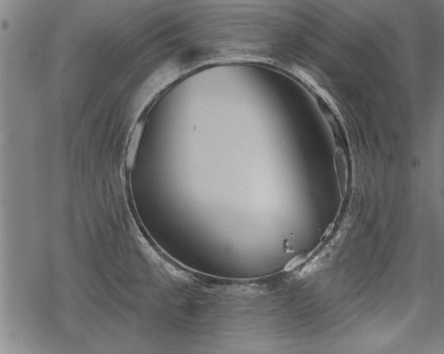 X0000069791189200605221107