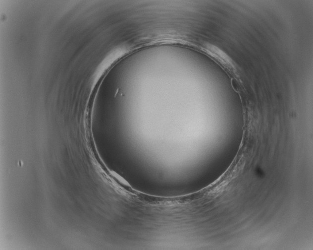 X0000069791190200605221107