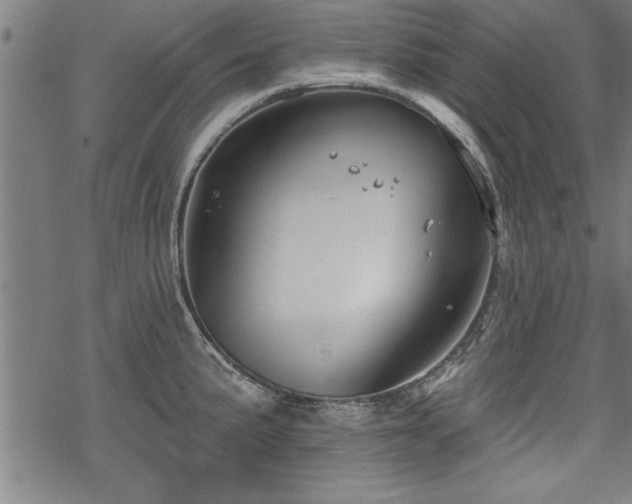 X0000069791191200605221107