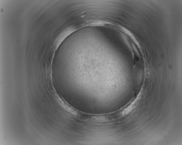 X0000069791194200605221107