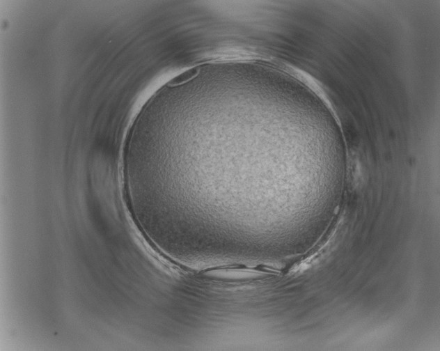 X0000069791195200605221107