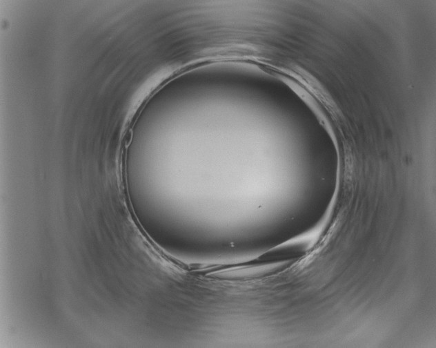 X0000069791196200605221107