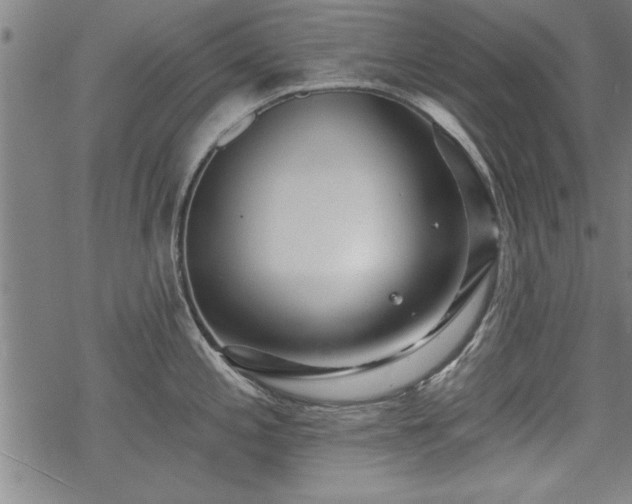 X0000069791197200605221107