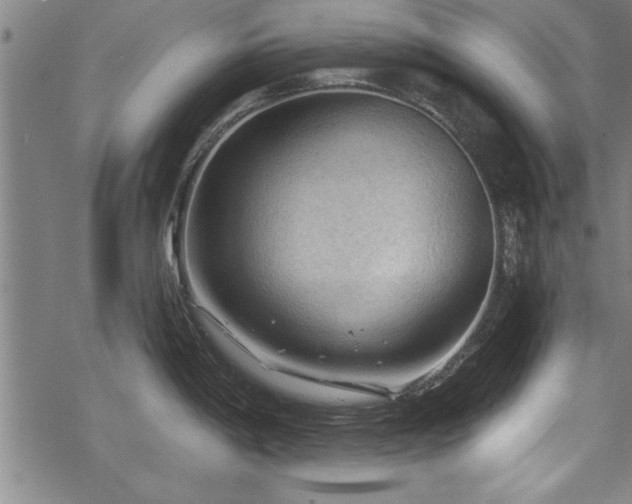 X0000069791198200605221107