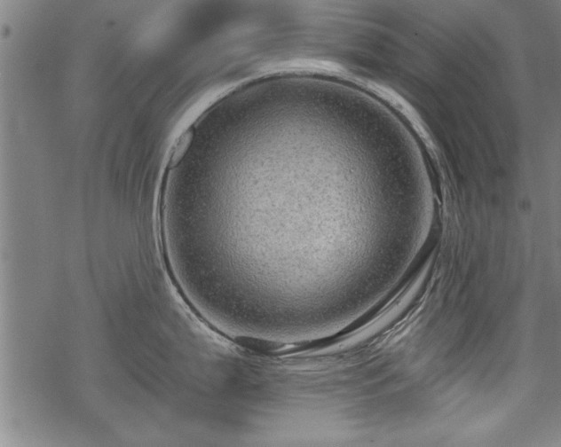 X0000069791199200605221107