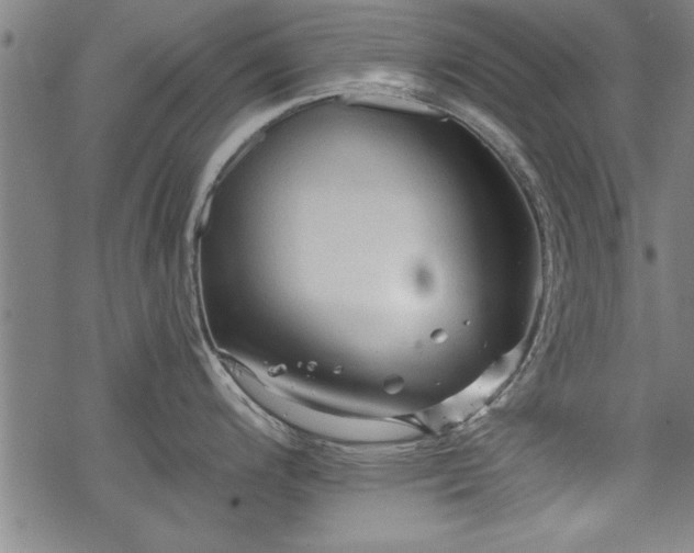 X0000069791200200605221107