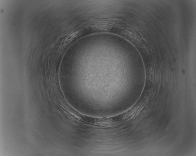 X0000069791201200605221106