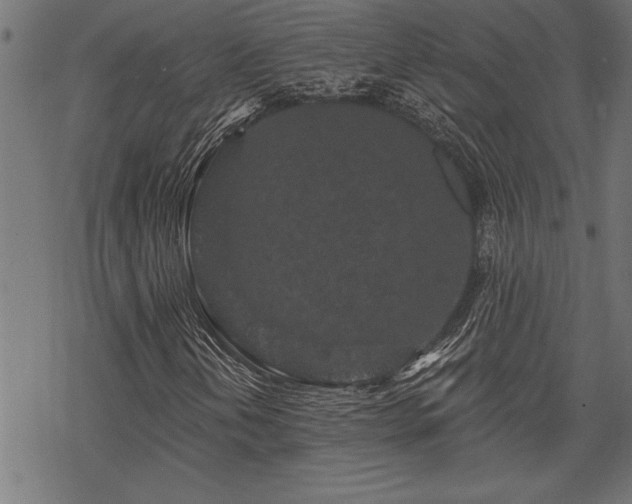 X0000069791202200605221106