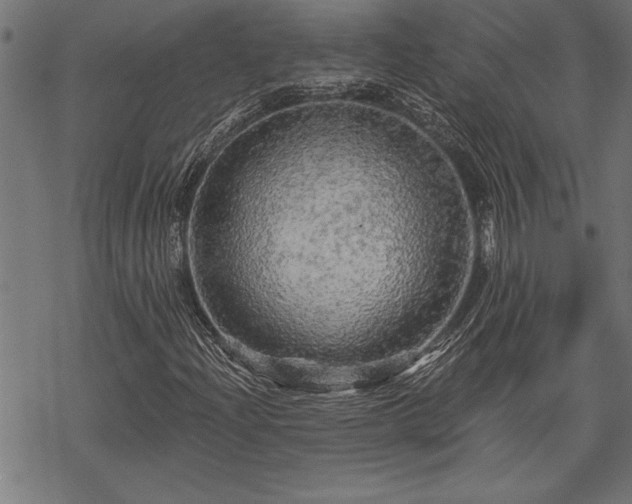 X0000069791204200605221106