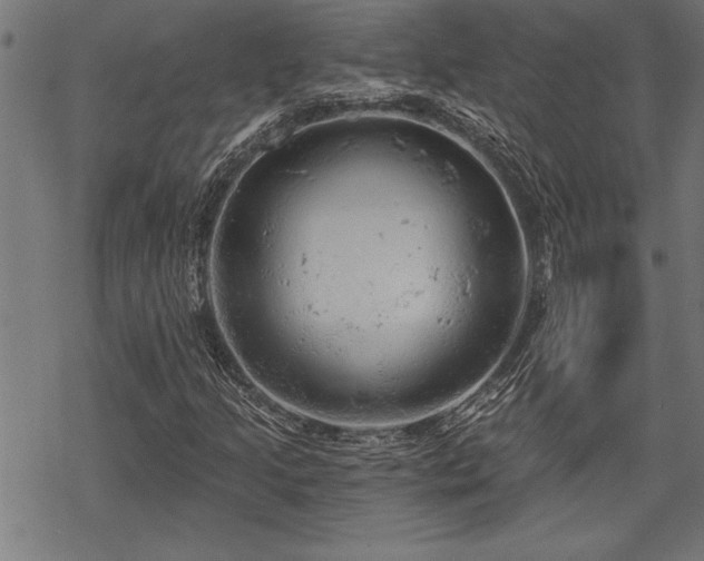 X0000069791205200605221106